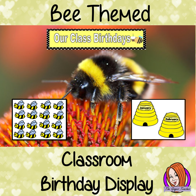 Back to School Bee Themed Classroom Birthday Display