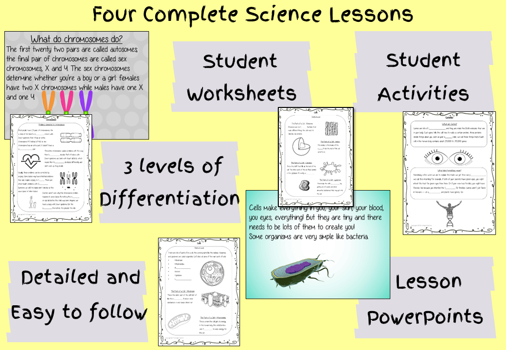 Biology Science Lessons and Escape Rooms Bundle – The Ginger Teacher