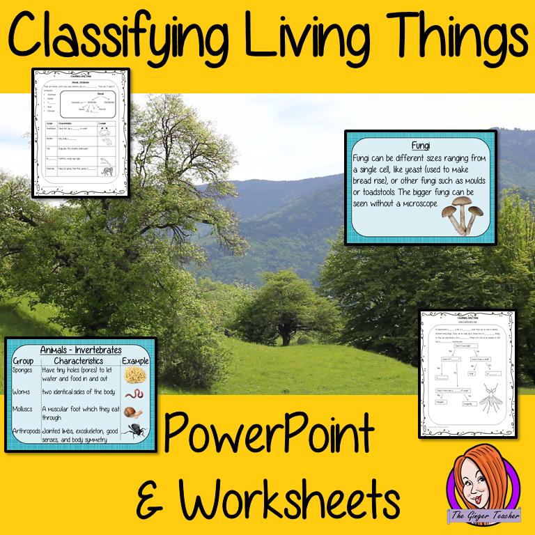 Classifying Living Things PowerPoint and Worksheets  teach children about classifying living things in one complete lesson. There is a detailed PowerPoint on the three types of living things, animals, plants and microorganisms. Details how to classify each and using a classification key. There are also differentiated worksheets to demonstrate student understanding great for teaching kids all about this classifying living things in your classroom. #livingthings #science #classification