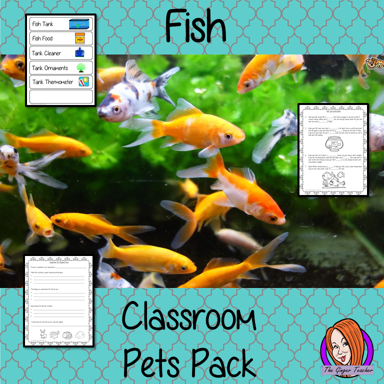 Fish Classroom Pets Pack a fun pack for your classroom hamster. 10 sheets included to allow children to request a pet, monitor it with an observation journal, draw pictures of the class pet, set up feeding rotas, label the pet’s equipment, create rules for the pet, read instructions for fish care and complete cloze sheets of the instructions. A great way to teach about caring for living things. #teaching #classpets #pshe #pets #fish #caring #lessons #animals