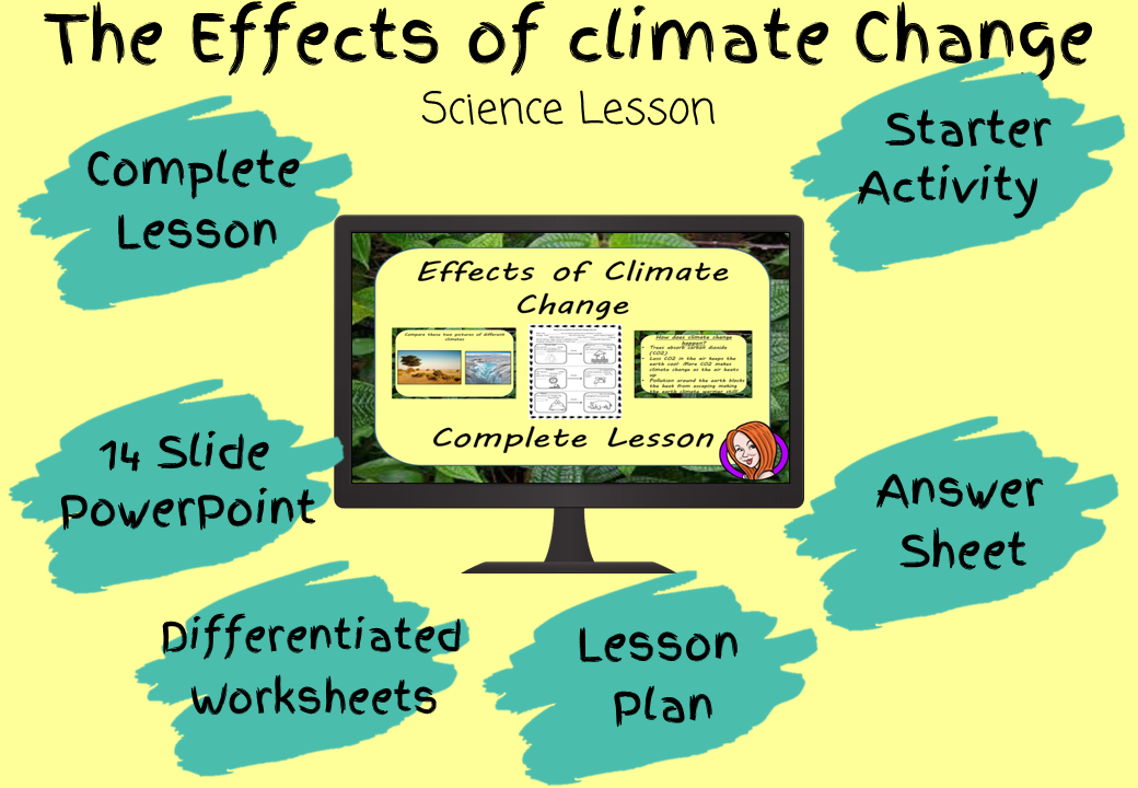 rainforest-lesson-plans