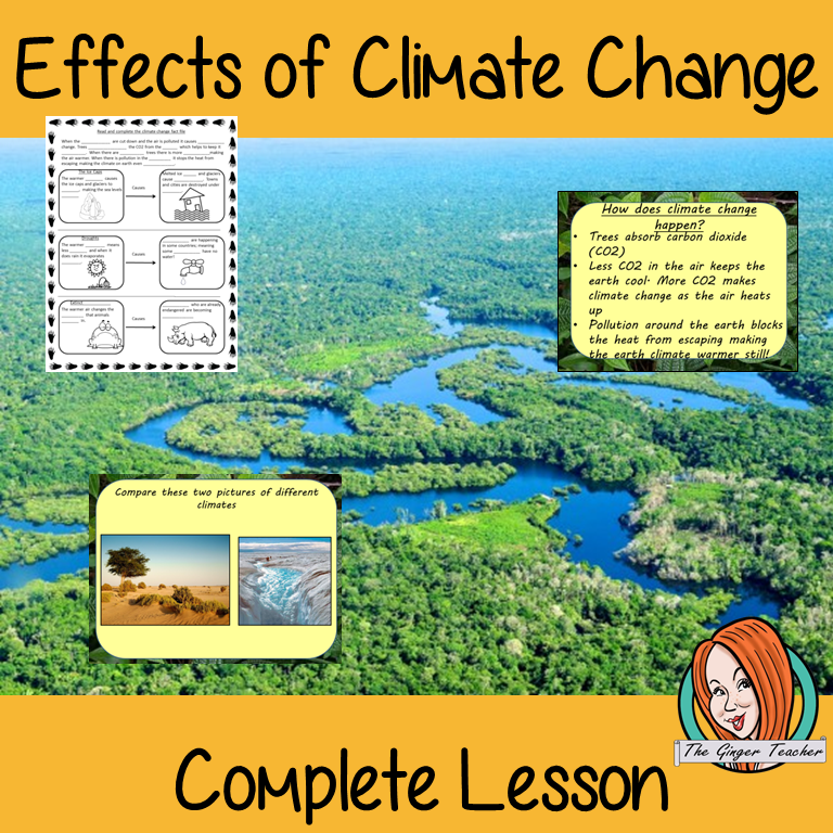the-rainforest-lesson-plans