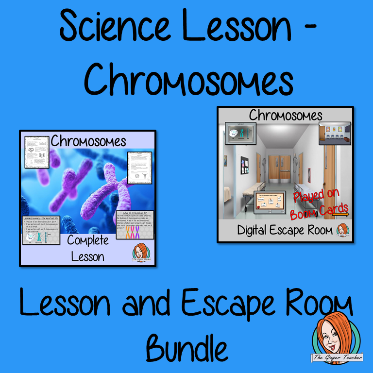 Chromosomes Science Lesson and Escape Room Bundle