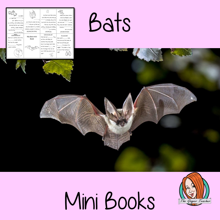Learn About Bats Mini Book Use these mini books to teach children facts and information about bats. There are 5 mini books included, a completed version, 3 differentiated books to see how well the children know the information and a blank version to let them add their own bat information. #bats #batweek #sciencelessons