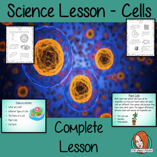 Cells Science Lesson
