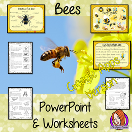 Distance Learning Bees Google Slides Lesson – The Ginger Teacher