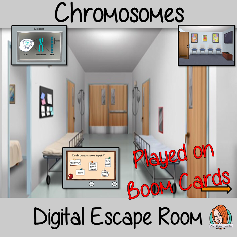 Chromosomes Science Escape Room Boom Cards