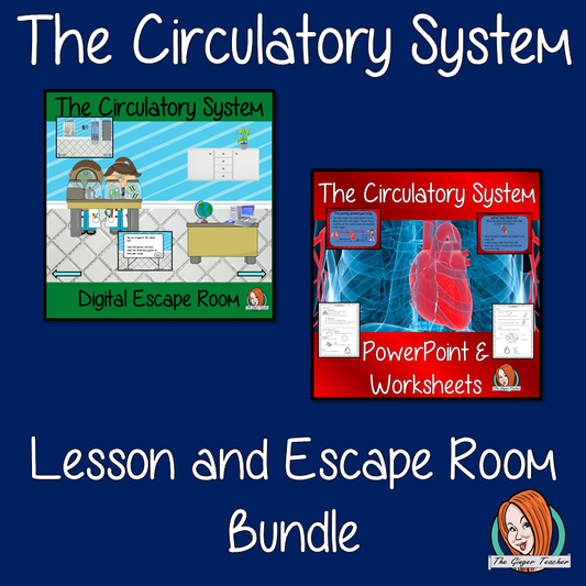 Blood and the Circulatory System Lesson and Escape Room Bundle