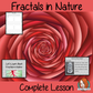 fractals-in-nature-lesson