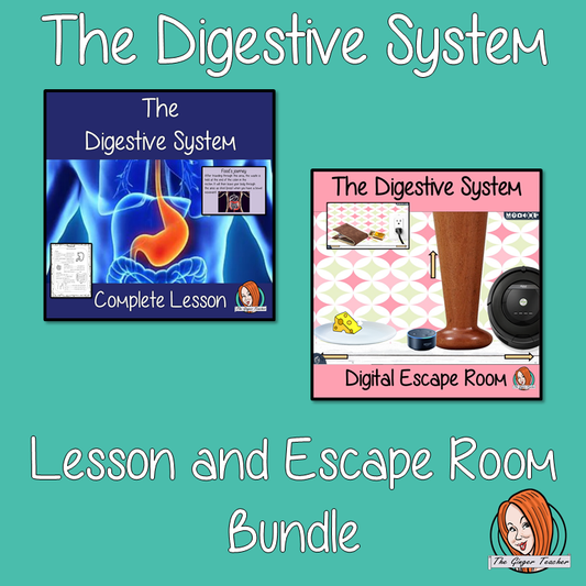 the-digestive-system