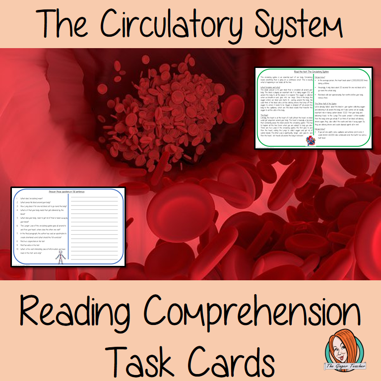 The Circulatory System Comprehension Cards Differentiated reading comprehension cards. Three levels of texts and questions to help children with reading comprehension. This text is on The Circulatory System and has questions to help children understand and draw meaning from the text.