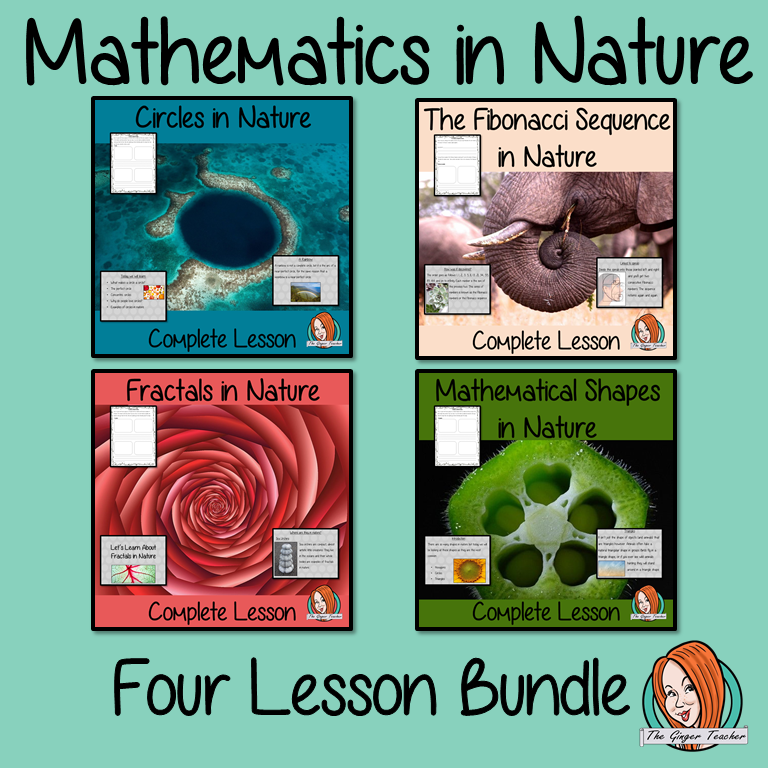 math-in-nature-examples