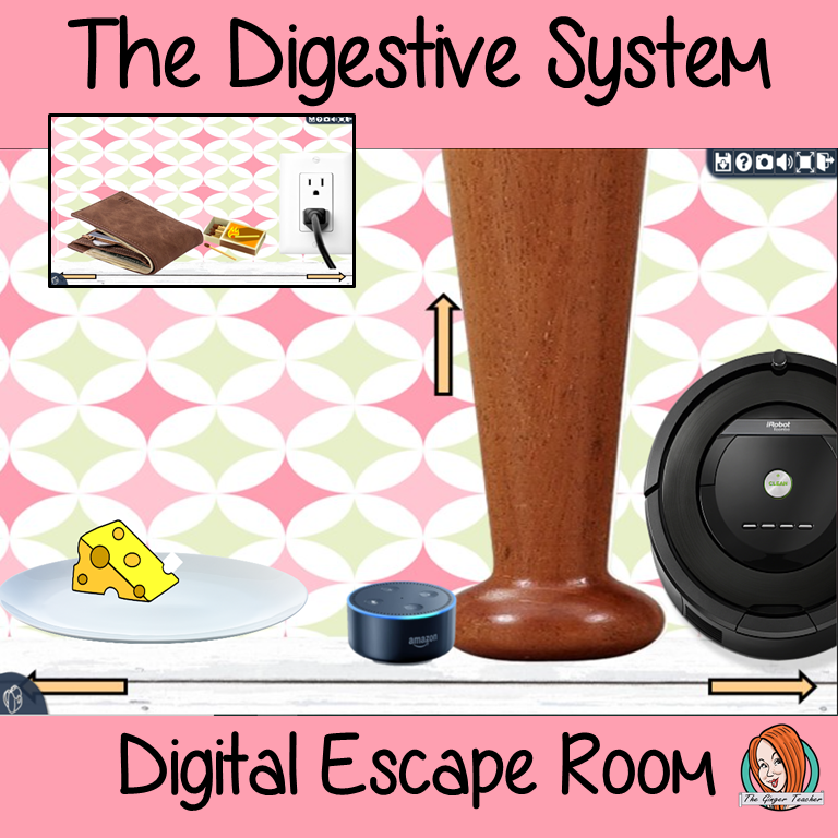 The Digestive System Science Escape Room