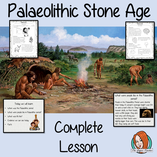 Palaeolithic Stone Age Lesson
