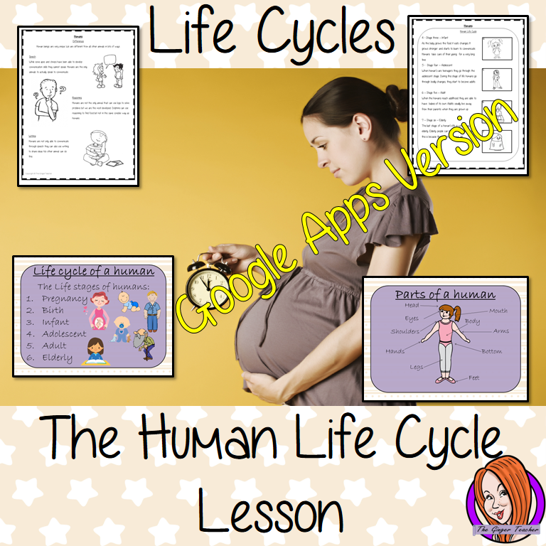 Distance Learning Human Life Cycles Google Slides Lesson This is the Google Slides version of this lesson! This download is a complete lesson on the human life cycle.  