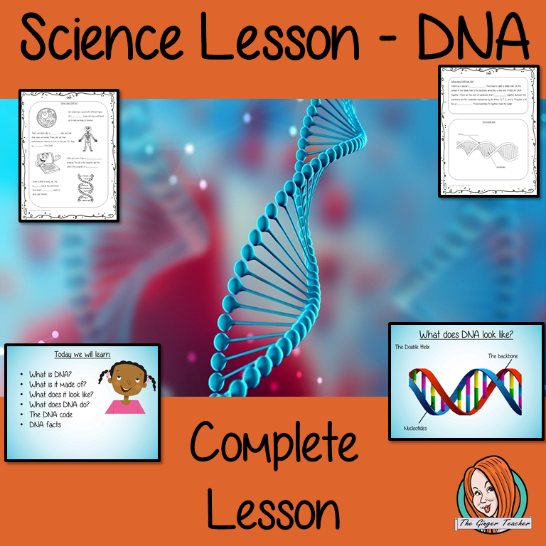 dna-lessons