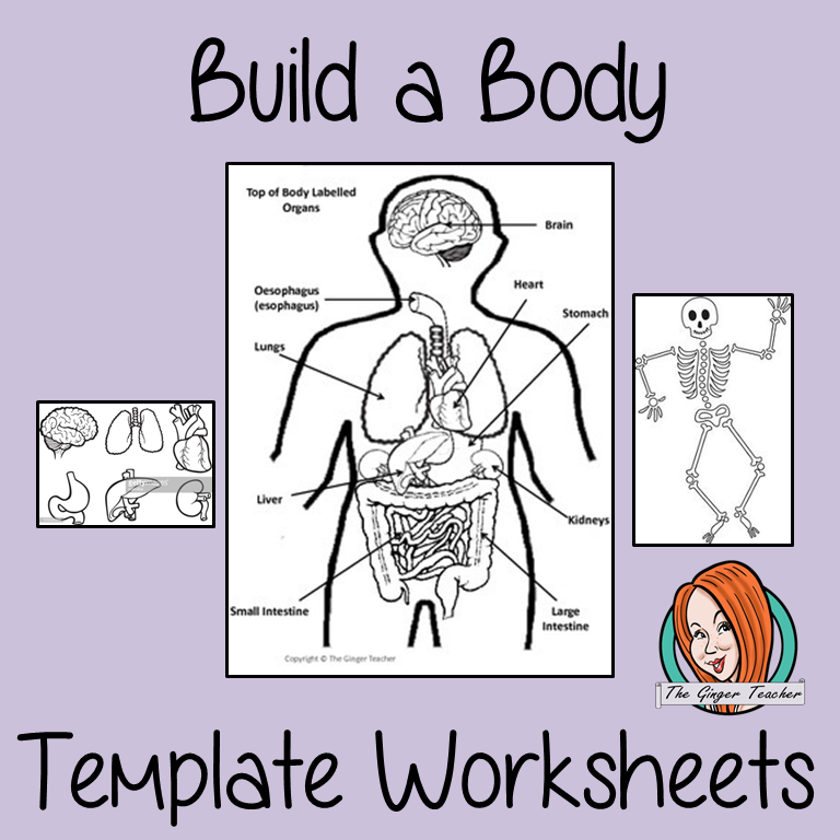 Build a Body Worksheets