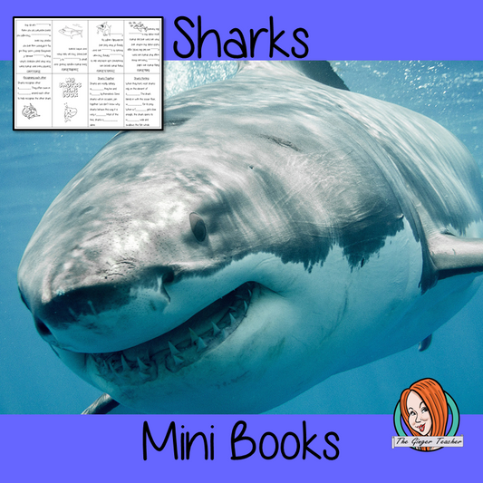 Learn About Sharks Mini Book Use these mini books to teach children facts and information about sharks. There are 5 mini books included, a completed version, 3 differentiated books to see how well the children know the information and a blank version to let them add their own shark information. #sharks #sharkweek #sciencelessons