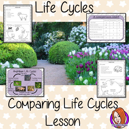 Comparing Life Cycles  - Complete Science Lesson This download is a complete lesson on teaching the comparison of animal life cycles.  This lesson uses a 23 slide PowerPoint to teach children about comparing animals and mammals. The lesson activities teach the class by completing a comparison chart and information sheets to consolidate knowledge for kids to complete with lesson information and ideas. #lifecycles #students #learning #animals #mammals