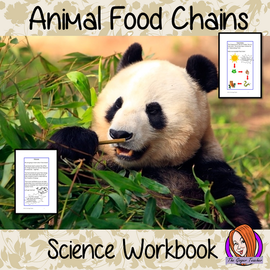Science, Animals Including Humans, Food Chains - STEAM Workbook