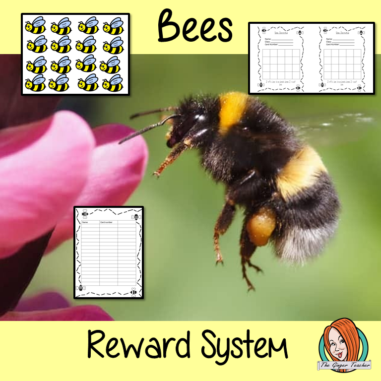 Classroom Management Reward System 'Bee Themed'