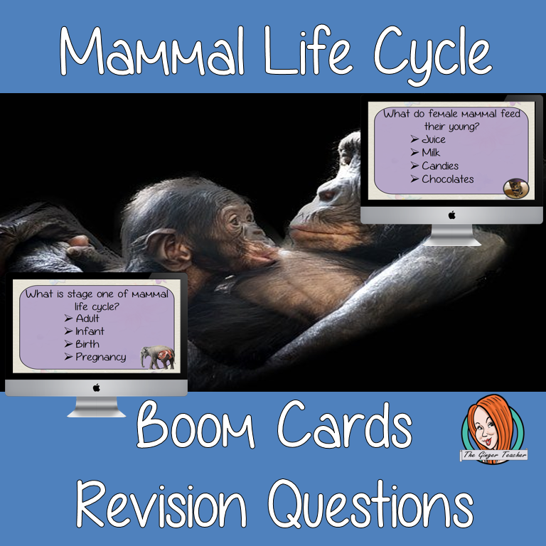 Mammal Life Cycle Revision Questions  This deck revises children’s knowledge of Mammal Life Cycle. There are multiple choice revision questions to check children’s understanding. These question cards are self-grading and lots of fun!