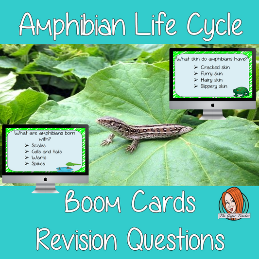 Amphibian Life Cycle Revision Questions  This deck revises children’s knowledge of Amphibian Life Cycle. There are multiple choice revision questions to check children’s understanding. These question cards are self-grading and lots of fun!
