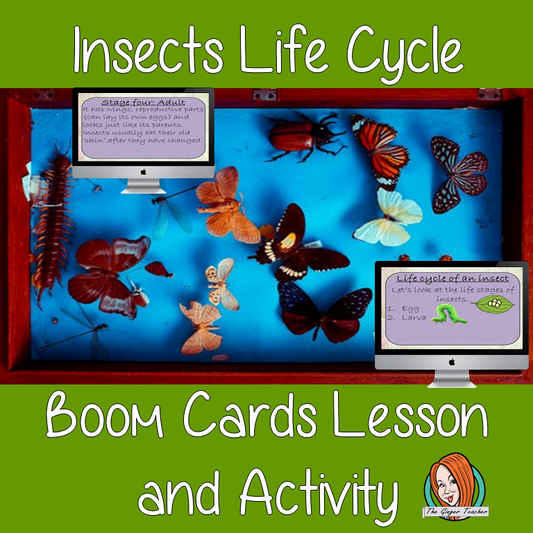 Insects Life Cycle - Boom Cards Digital Lesson