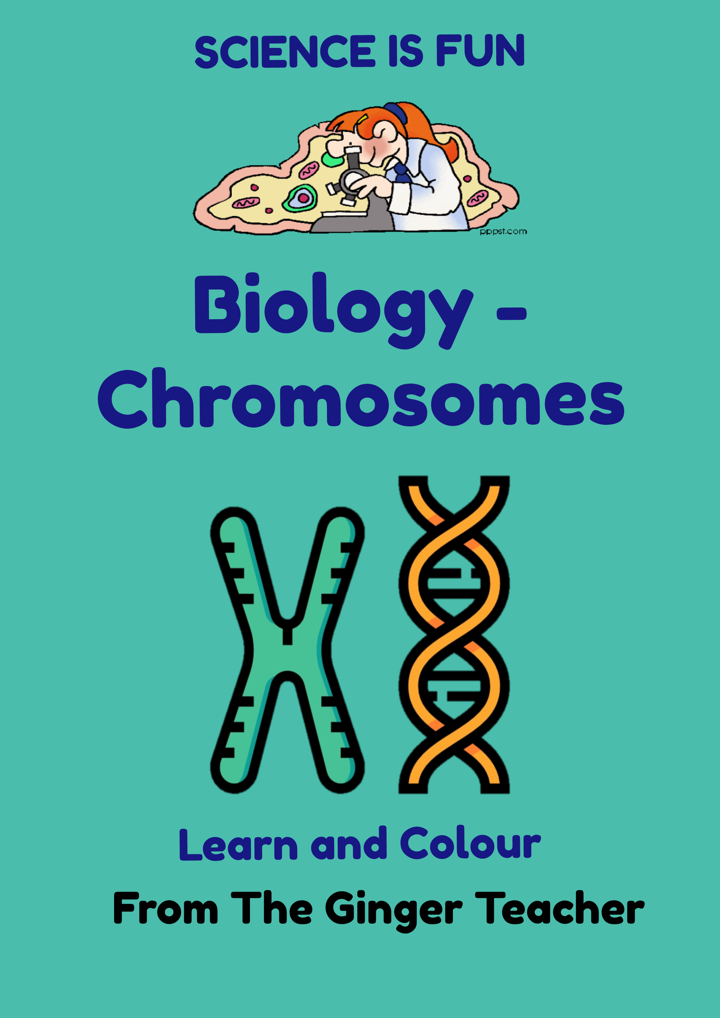 Teach-chromosomes