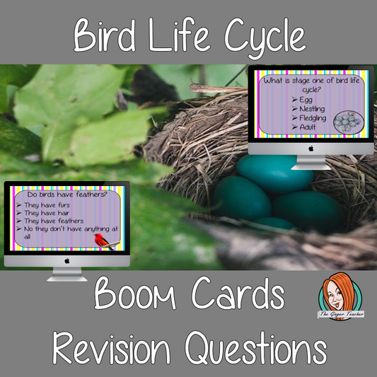 Bird Life Cycle Revision Questions  This deck revises children’s knowledge of Bird Life Cycle. There are multiple choice revision questions to check children’s understanding. These question cards are self-grading and lots of fun!