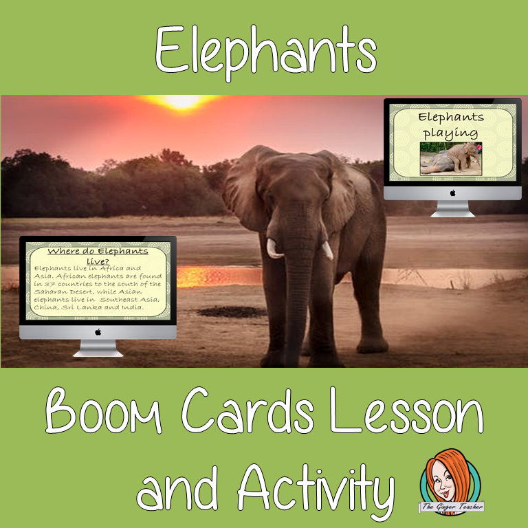 Elephants - Boom Cards Digital Lesson