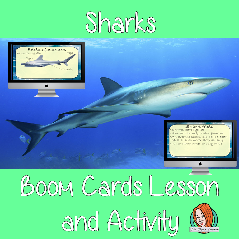 Sharks - Boom Cards Digital Lesson