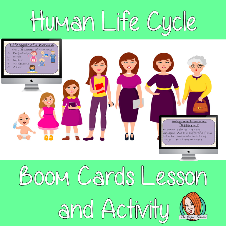Human Life Cycles - Boom Cards Digital Lesson