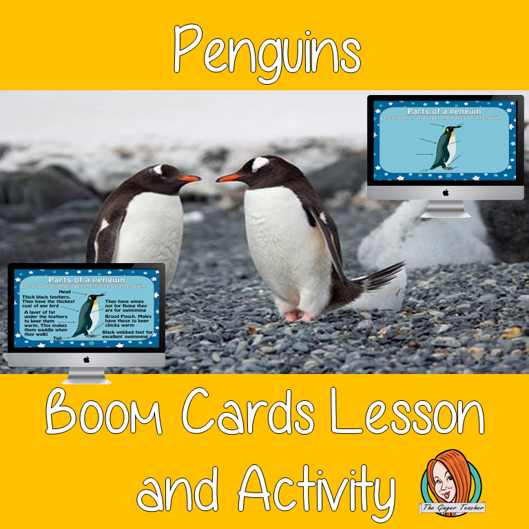 Penguins - Boom Cards Digital Lesson