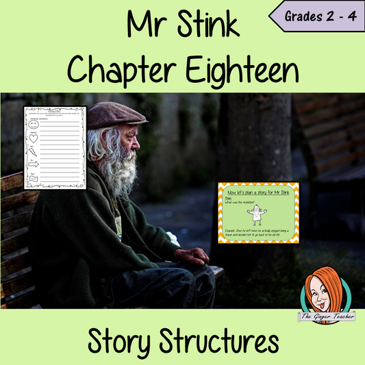 Mr Stink Story Structures Lesson