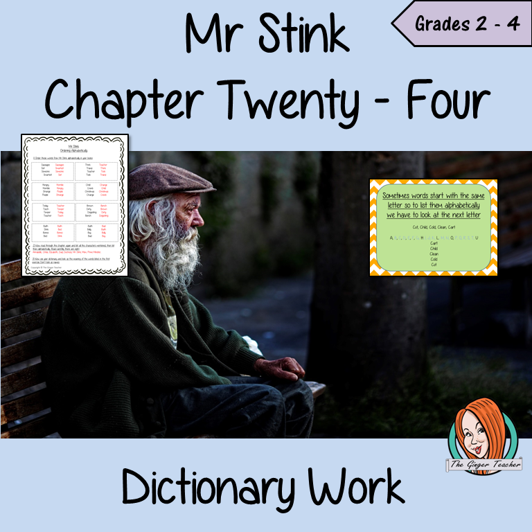 Dictionary Work; Complete Lesson  – Mr Stink