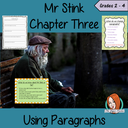 Mr Stink Using Paragraphs Lesson