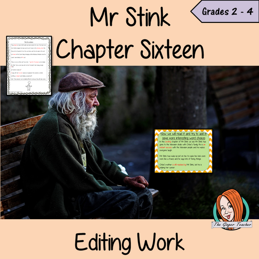 Mr Stink Editing Writing Lesson