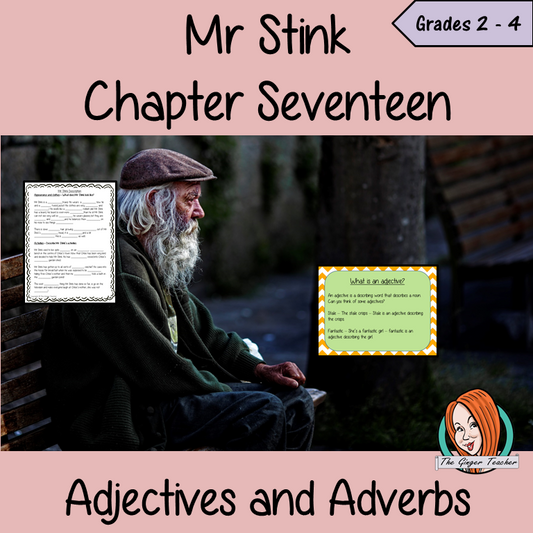 Mr Stink Using Adjectives and Adverbs Lesson