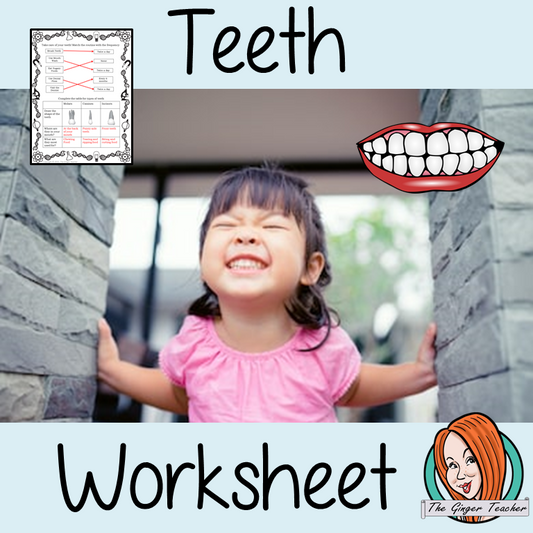 Teeth and Oral Hygiene Worksheets