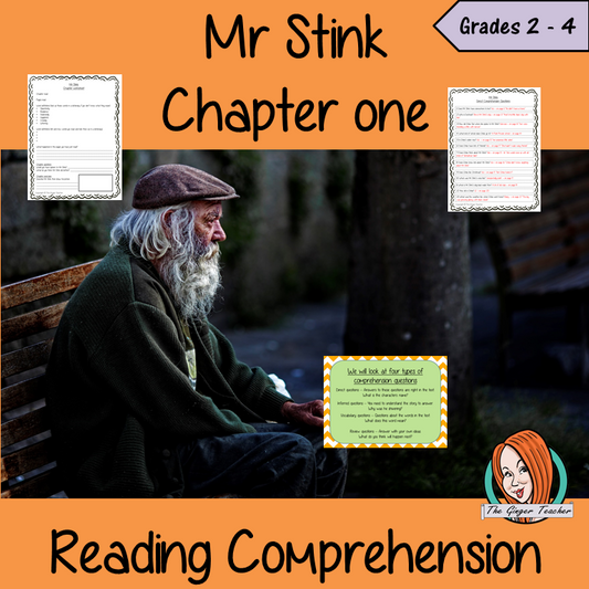 Mr Stink Reading Comprehension Lesson
