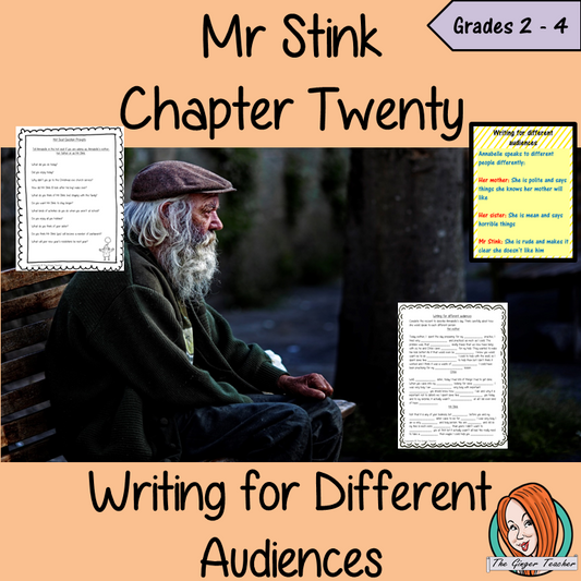 Mr Stink Writing for Different Audiences Lesson