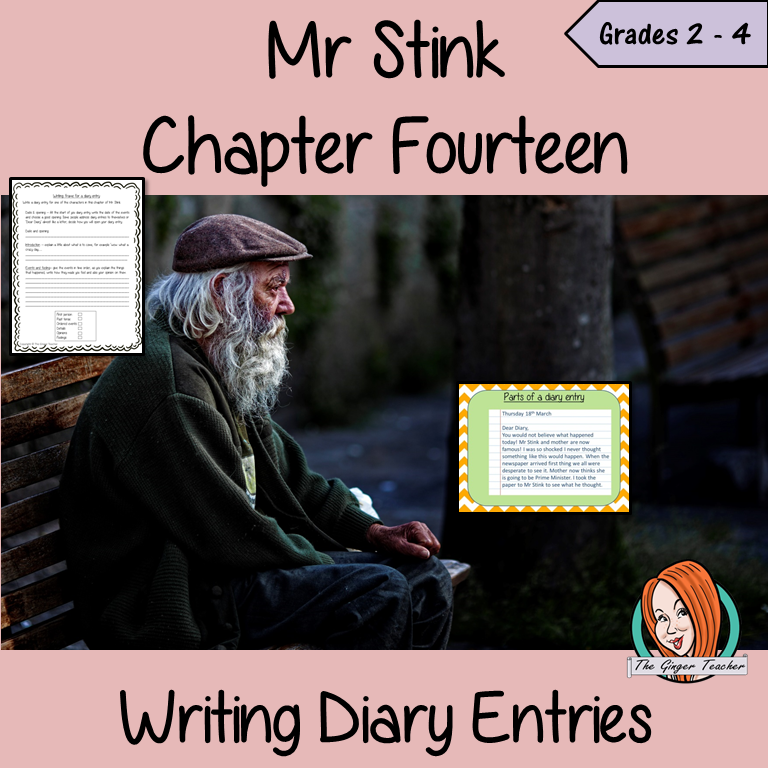 Mr Stink Diary Writing Lesson
