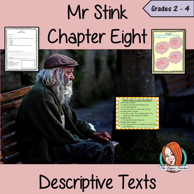Descriptive Texts  – Mr Stink