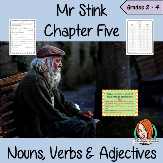 Mr Stink Nouns, Verbs and Adjectives Lesson
