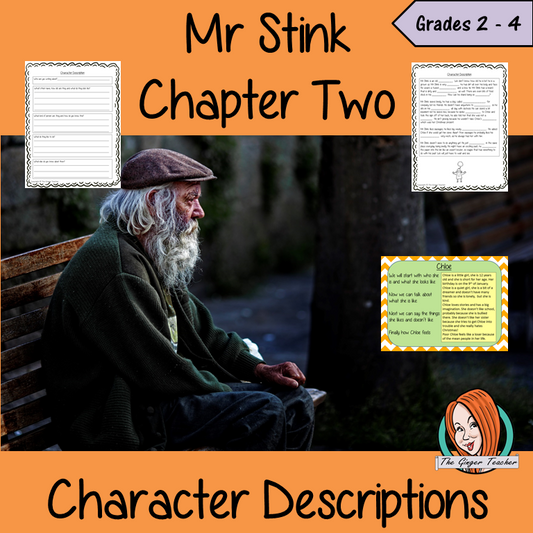 Mr Stink Character Descriptions Lesson