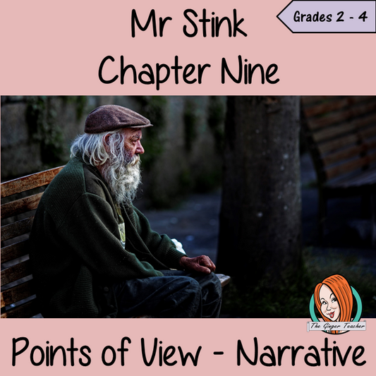 Mr Stink Point of View Lesson