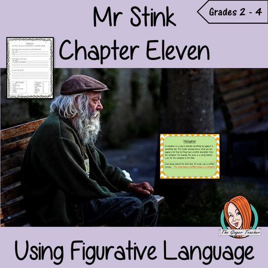 Mr Stink Figurative Language