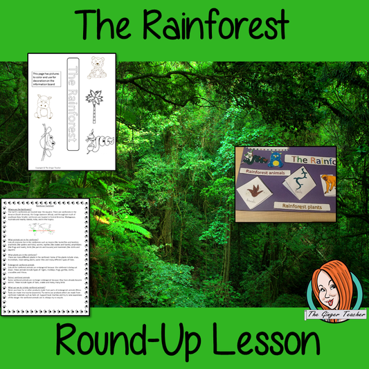 Rainforest Round Up Complete Lesson