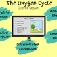 The Oxygen Cycle Science Lesson